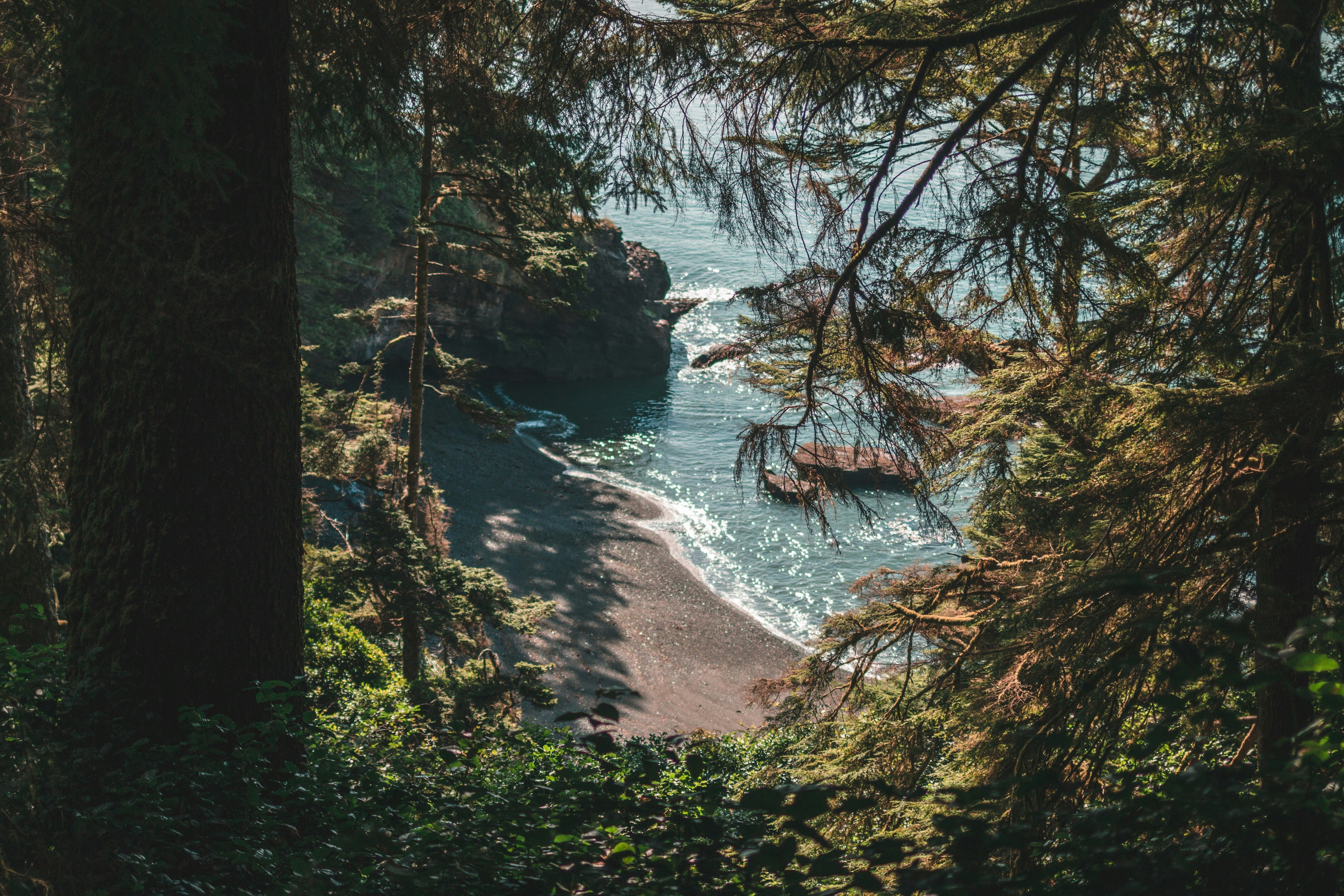 jan-kronies-JOJJqeTLOYA-unsplash.jpg__PID:8cf1e095-7e0f-42ad-8b11-a0b14296d29f