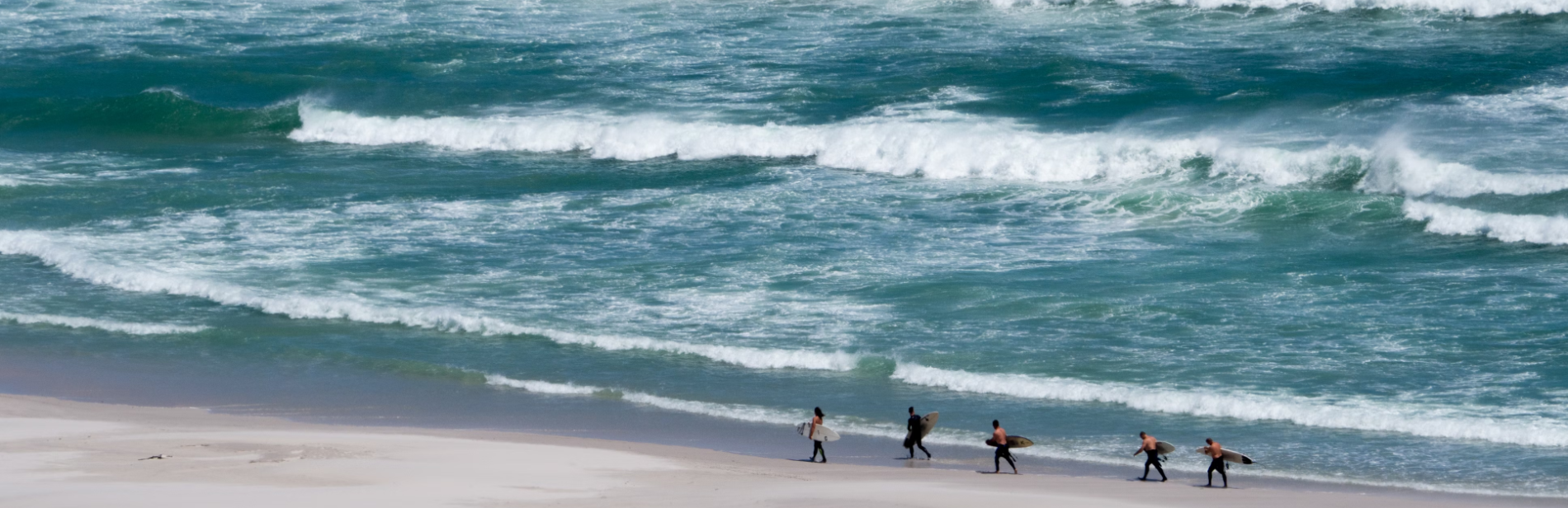 surfers on beach thin.png__PID:16d67cc7-7b75-46ad-97d1-b8929d6bab45